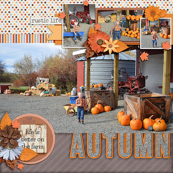 Rustic Life