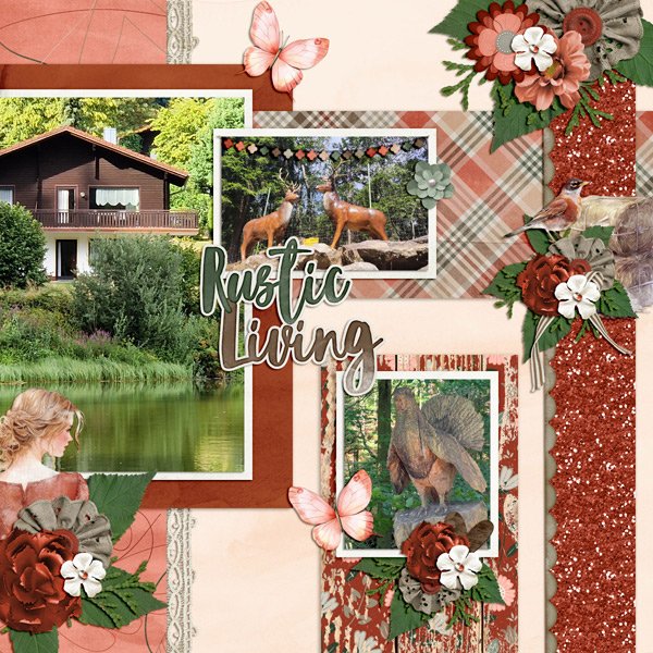 rustic living-left side