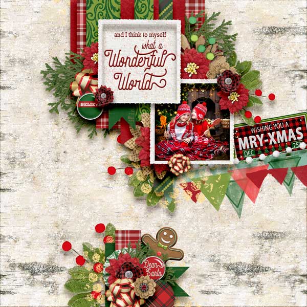 Rustic Plaid Christmas Grab Bag