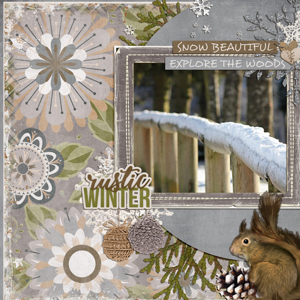 RUSTIC WINTER