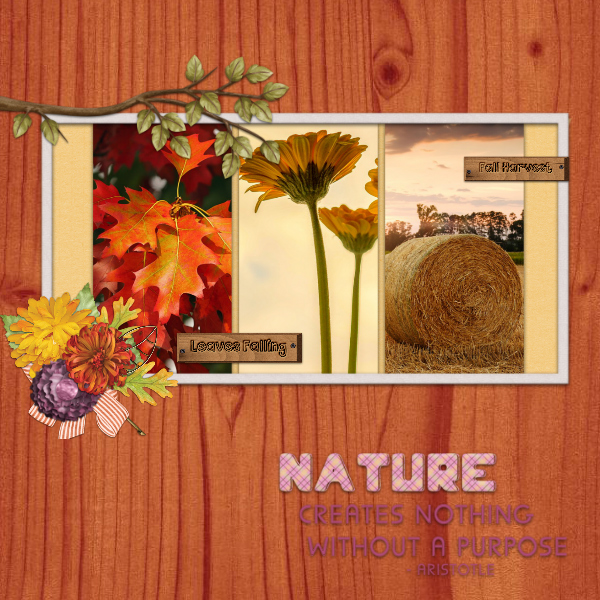 Rustic_autumn