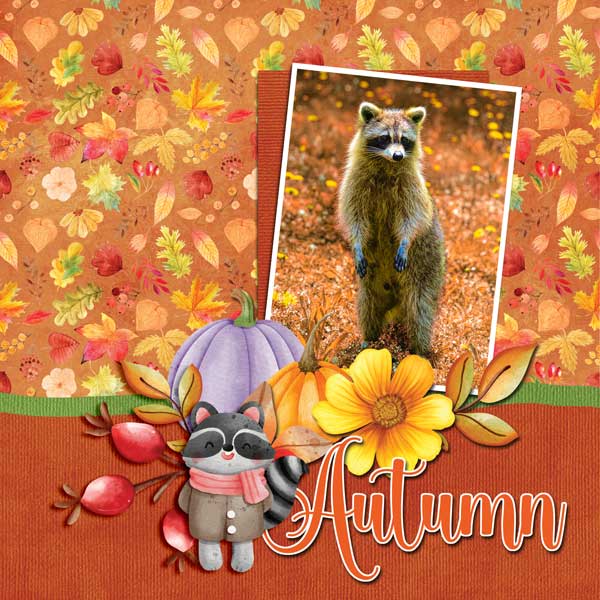 rusty-raccoon-scrapbook-cra