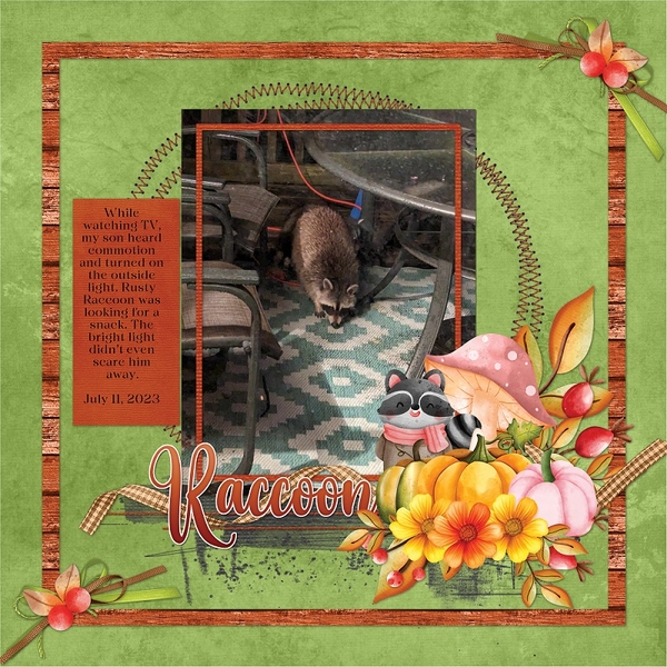 Rusty Raccoon