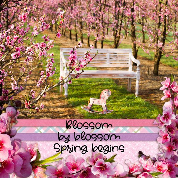 S + R Orchard in Spring