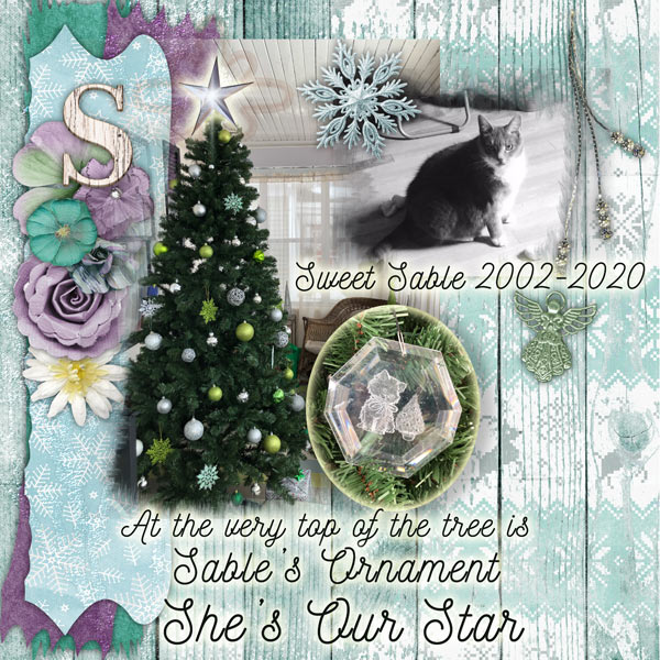 Sable is Our Star