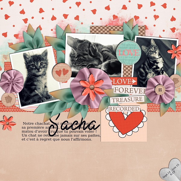 Sacha - R.I.P