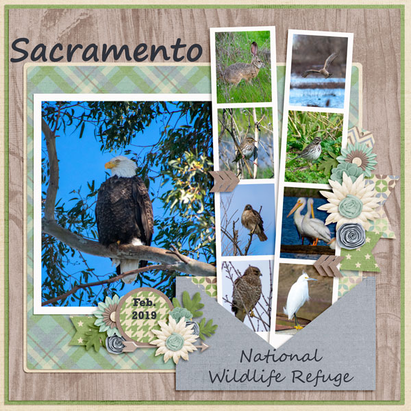Sacramento NWR