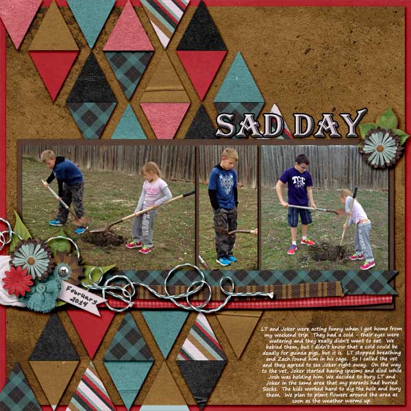 SadDay0214