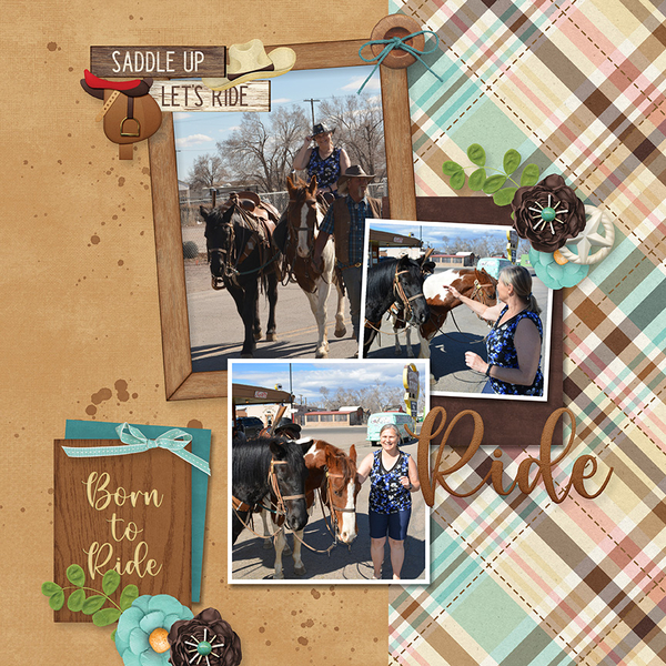 Saddle UP_1