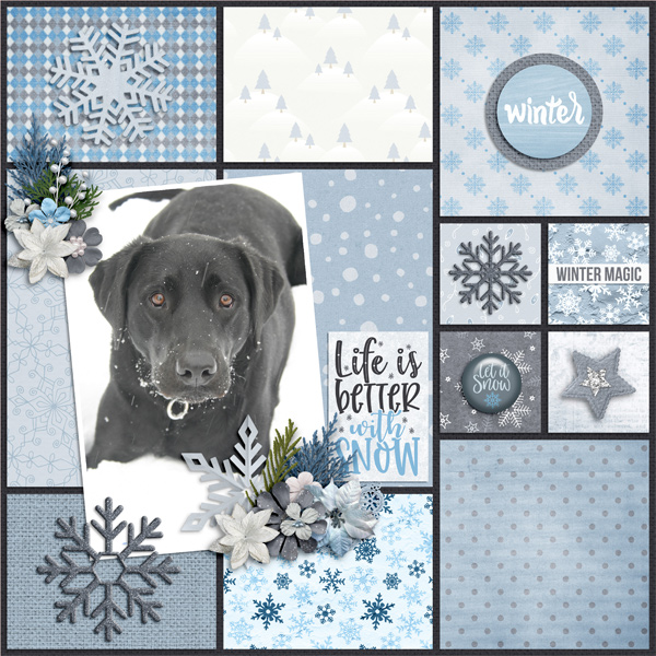 Sadie in Snow