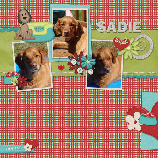 Sadie---June-2011