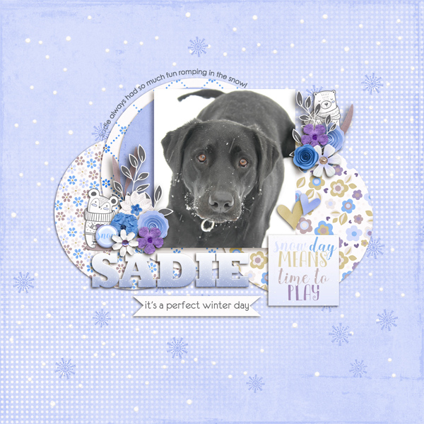 Sadie Snow Day