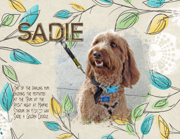 Sadie