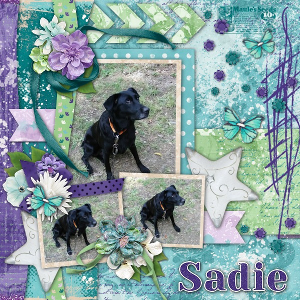 Sadie