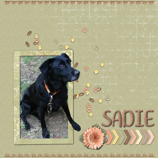 Sadie