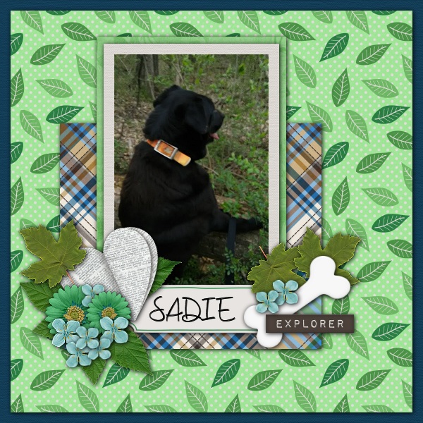 Sadie