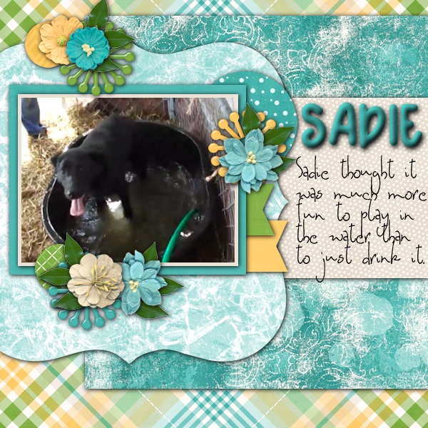 Sadie