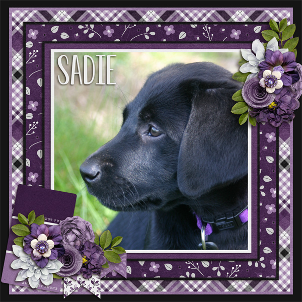 Sadie