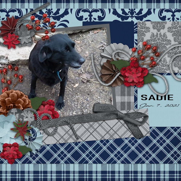 Sadie