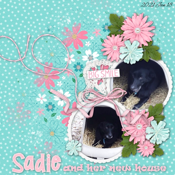 Sadie