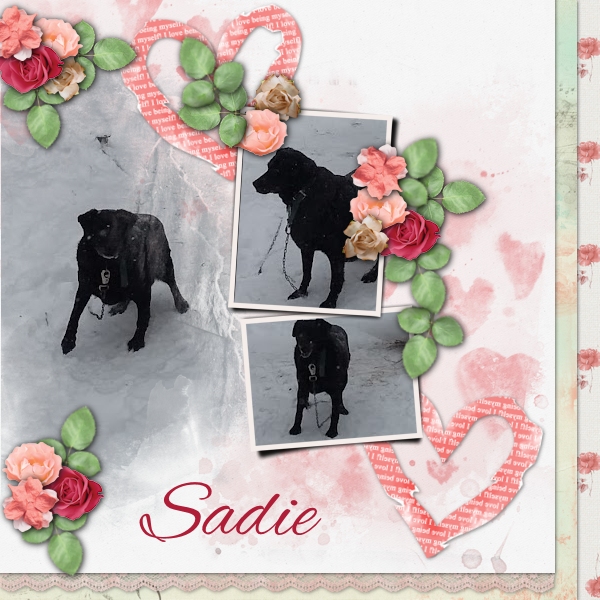 Sadie
