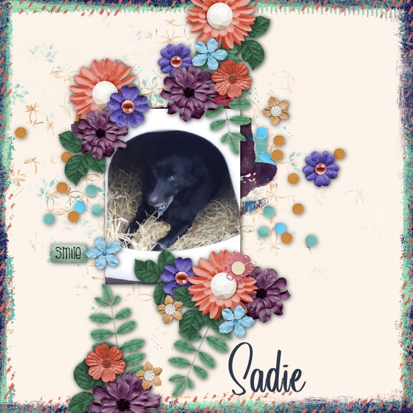 Sadie