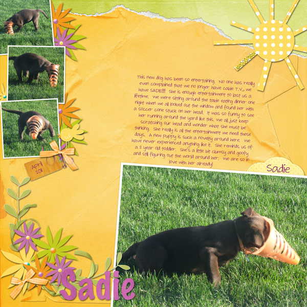 Sadie2WEB