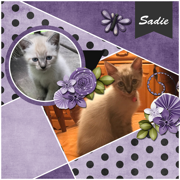 Sadie3