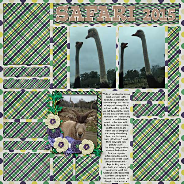 Safari 2015