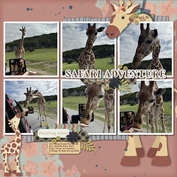 Safari Adventure