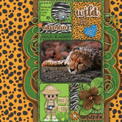 Safari Adventures