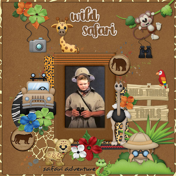 Safari Adventures