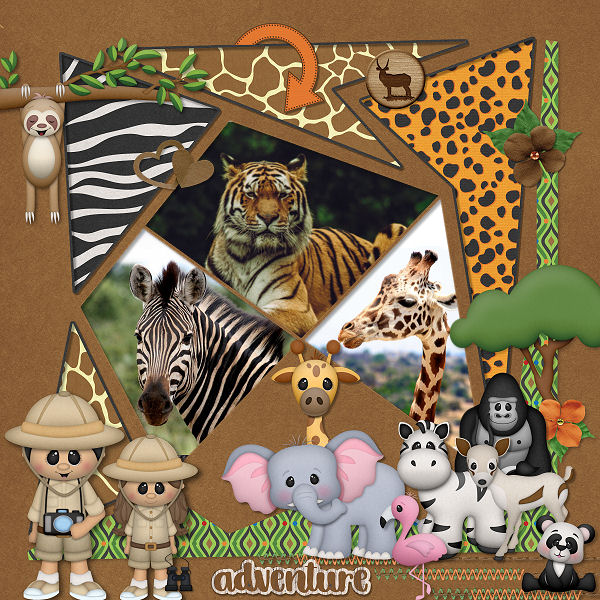 Safari Adventures