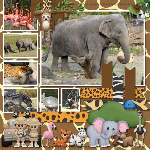 Safari Adventures