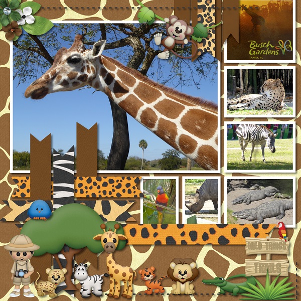 Safari Adventures