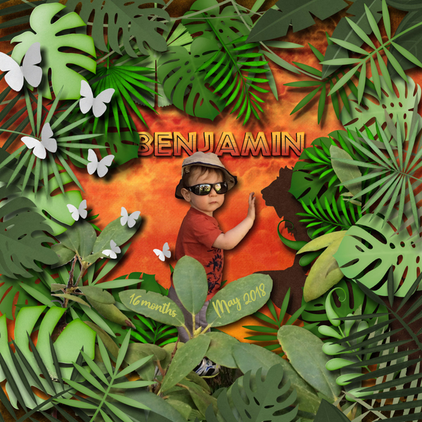 Safari Benjamin