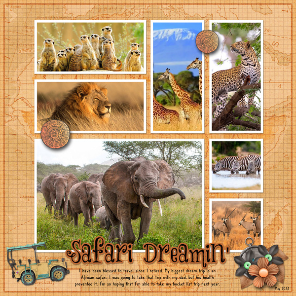 Safari Dreamin