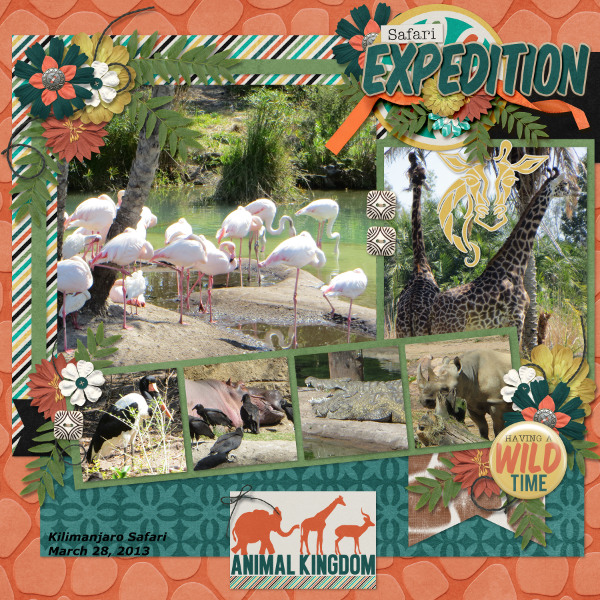 Safari Expedition