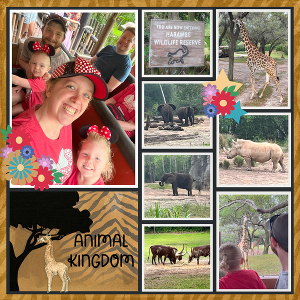 Safari page 1