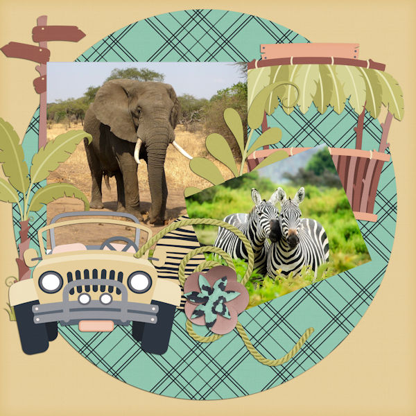 Safari QP