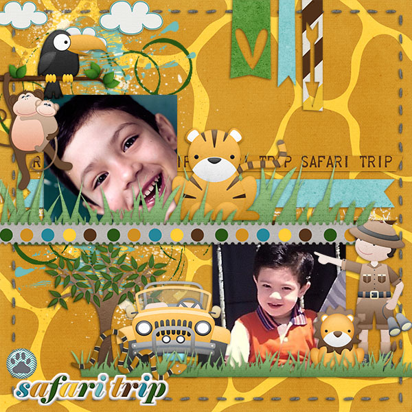 Safari Trip