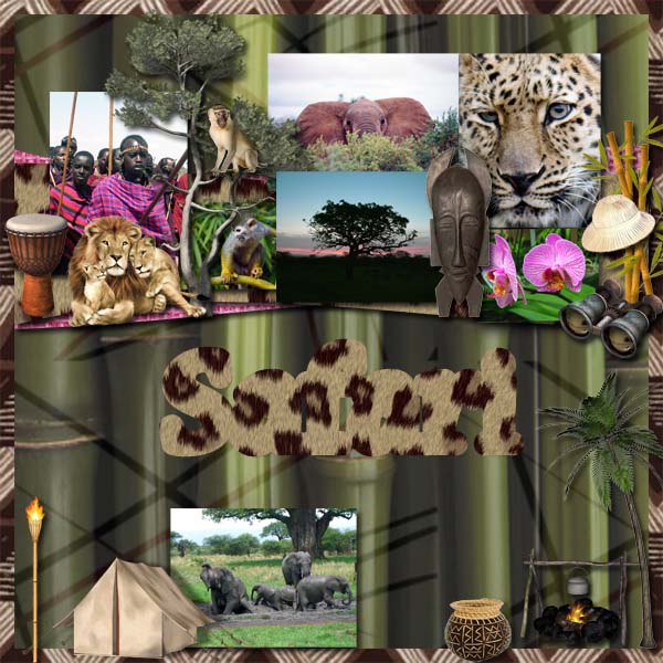 Safari