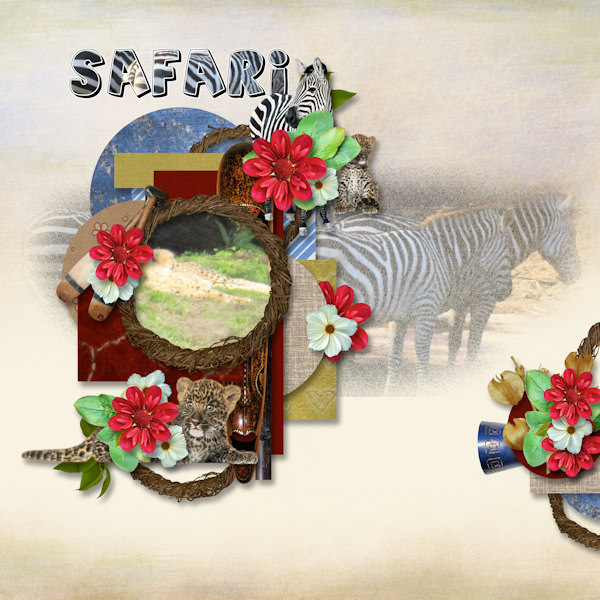 Safari