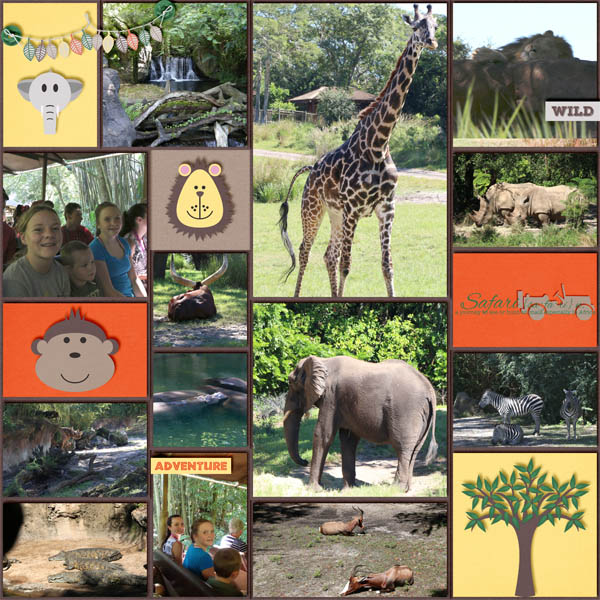 Safari