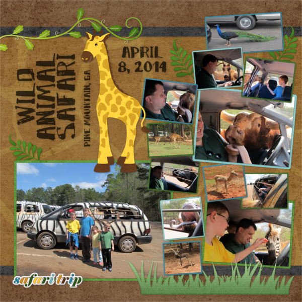 Safari