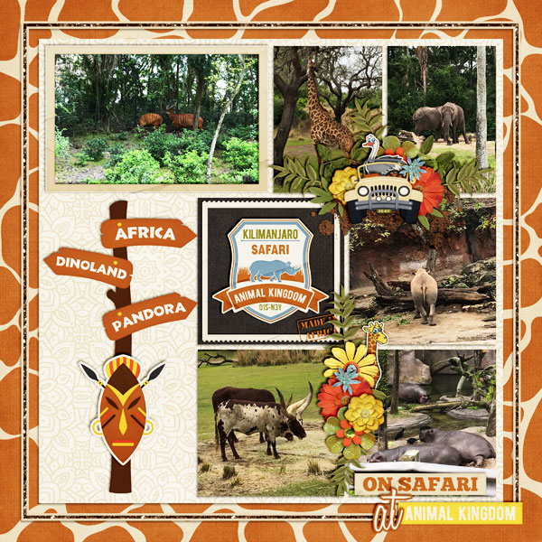 Safari