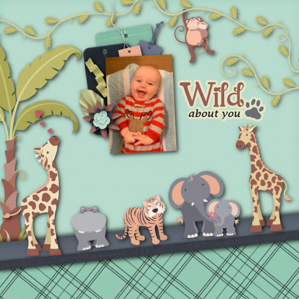 Safari