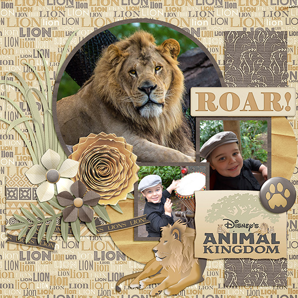 Safari