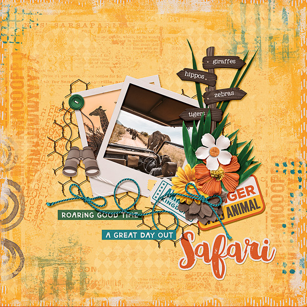 Safari