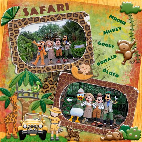 Safari